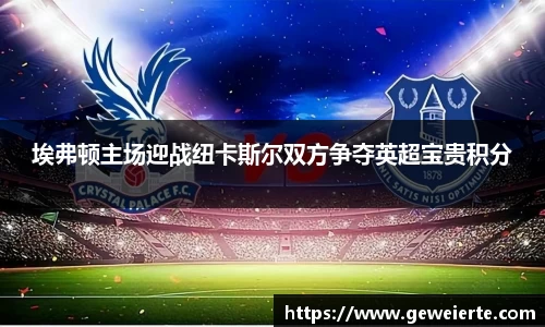 埃弗顿主场迎战纽卡斯尔双方争夺英超宝贵积分